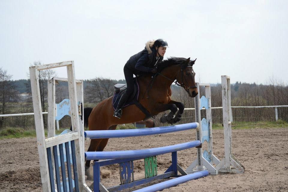 DSP Cassidy billede 16