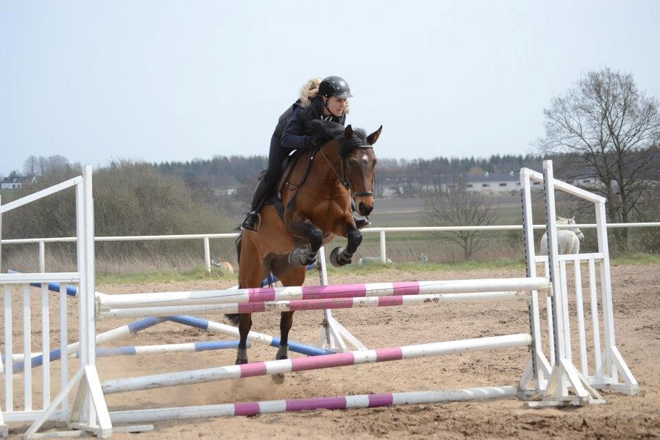 DSP Cassidy - Velkommen til Cassidy's profil <3 
Thomas Sandgaard kursus 2013 <3  billede 1