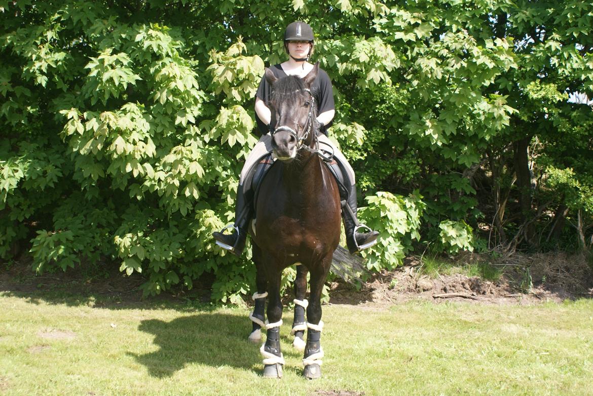 Anden særlig race Frida billede 10