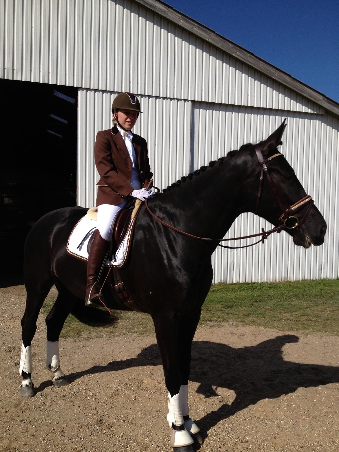 Oldenborg Vester Løkke`s Montana (Solgt ) RIP - Montanas første stævne ude :) Fik en 1 plads i LC2 billede 15