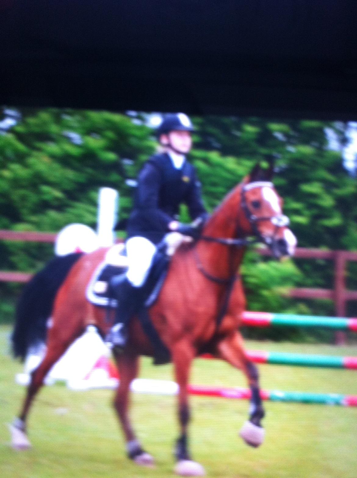 DSP Passion *palle* (skadet) billede 12