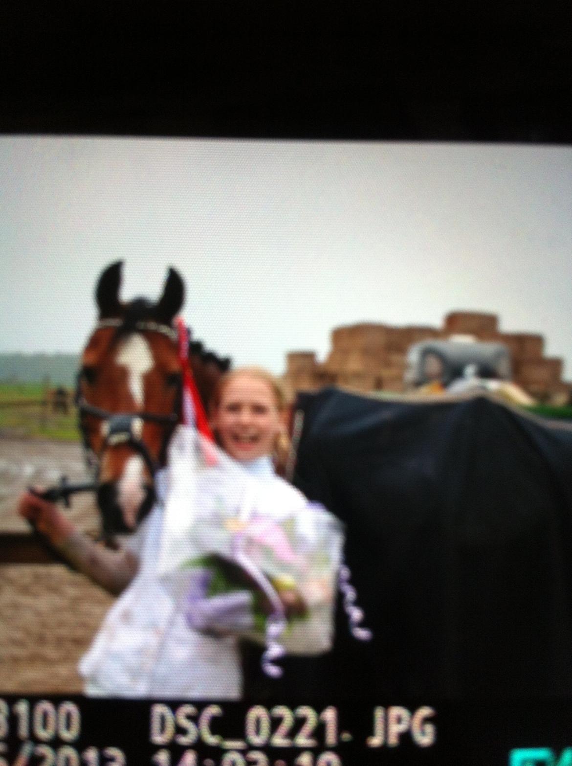 DSP Passion *palle* (skadet) billede 14