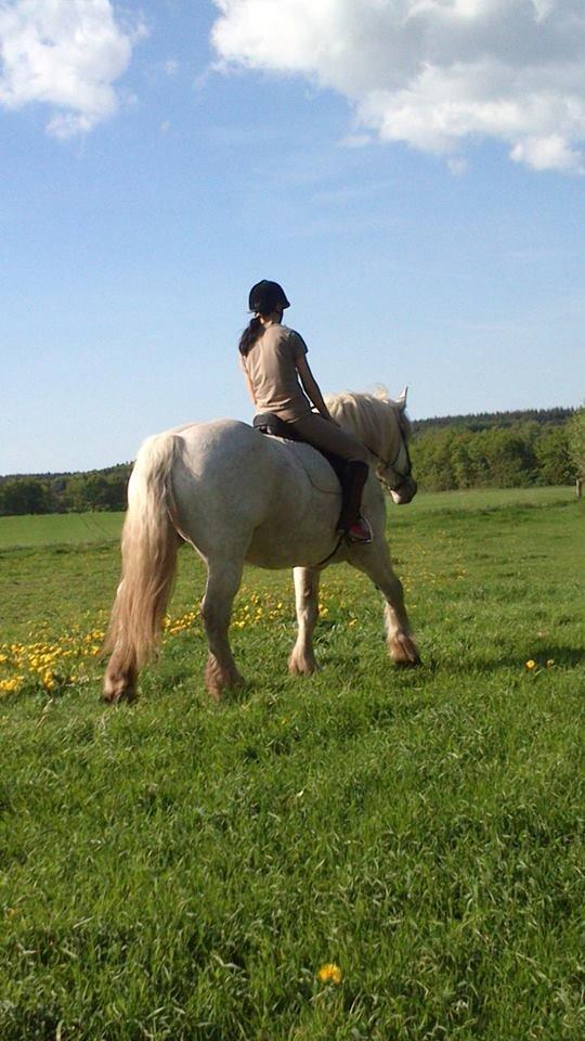 Boulonnais Oasis 18 billede 8