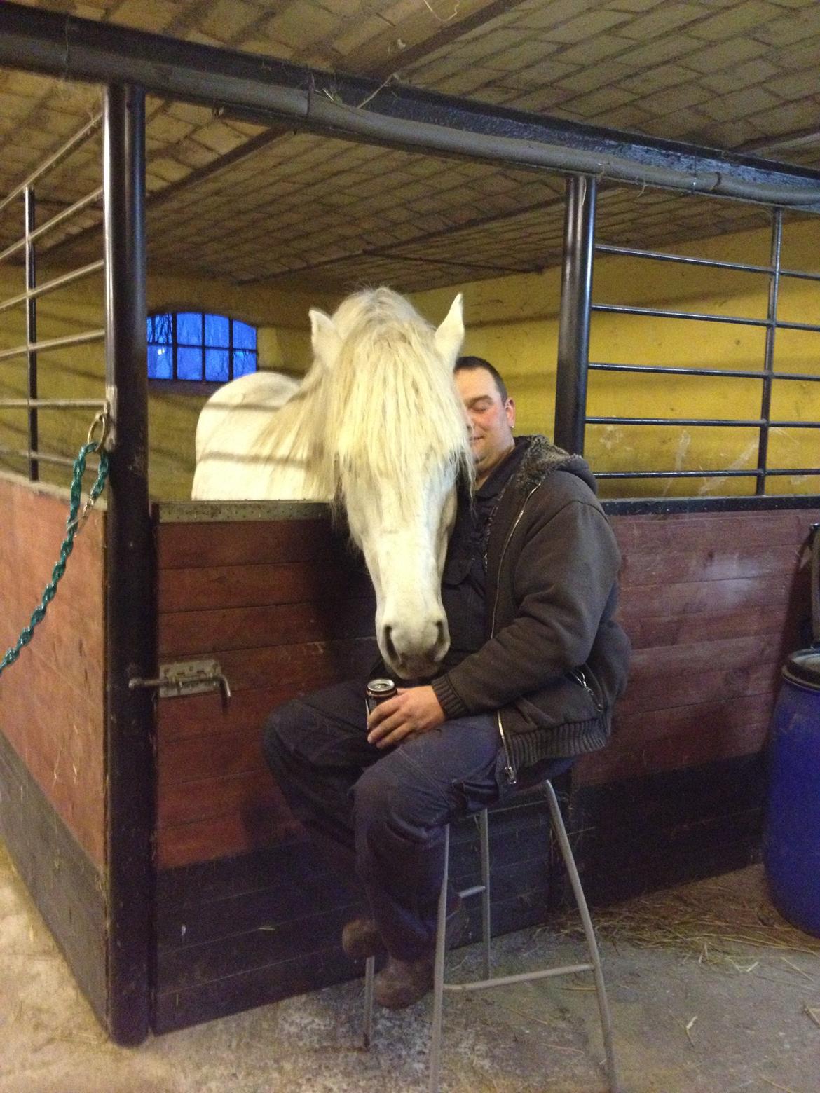 Boulonnais Oasis 18 billede 20