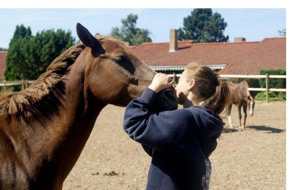 Anden særlig race Jamie billede 6