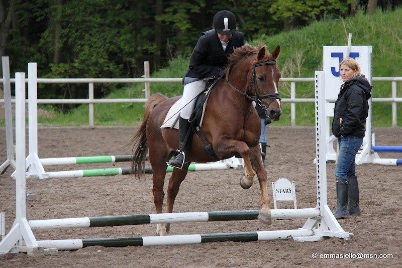 Anden særlig race Jamie - Vores første springstævne <3 
30 cm :)) billede 7