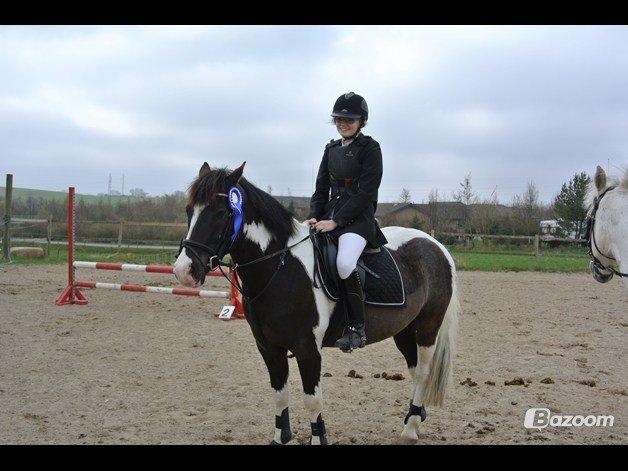 Anden særlig race Haffe Laffe - When life gives you a hundred reasons to cry, show life that you have a thousand reasons to smile billede 12