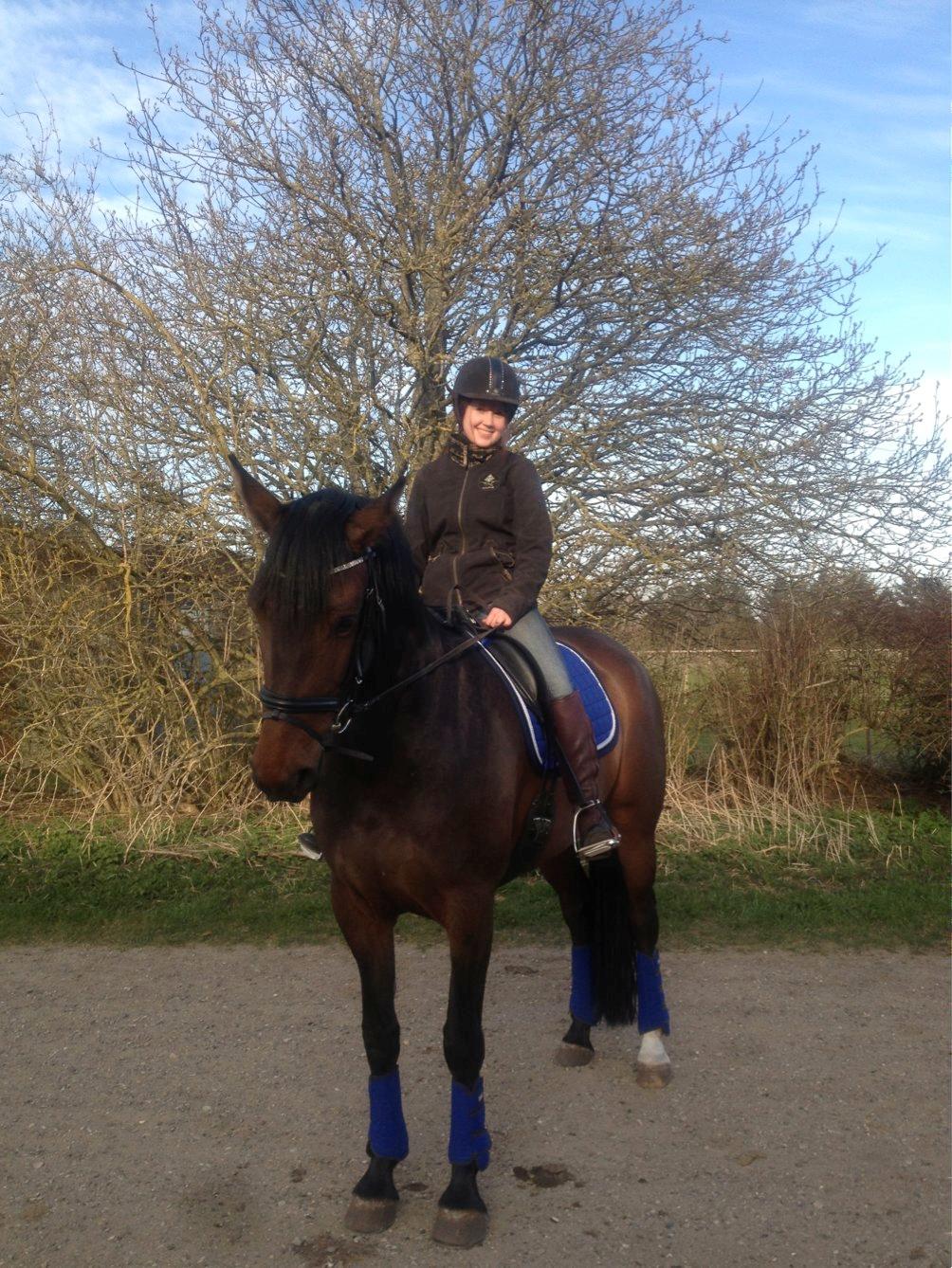 Anden særlig race Farissa - I blå<3 billede 14