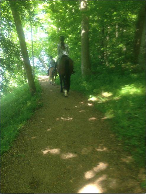 Anden særlig race Farissa - Skovtur med veninden<3 billede 15