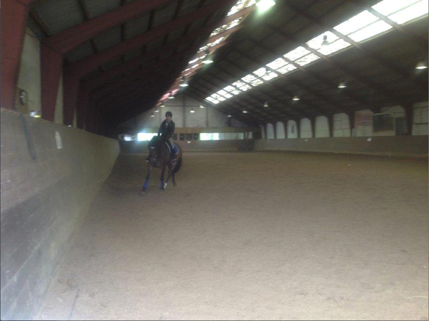 Anden særlig race Farissa - Undervisning <3 billede 16