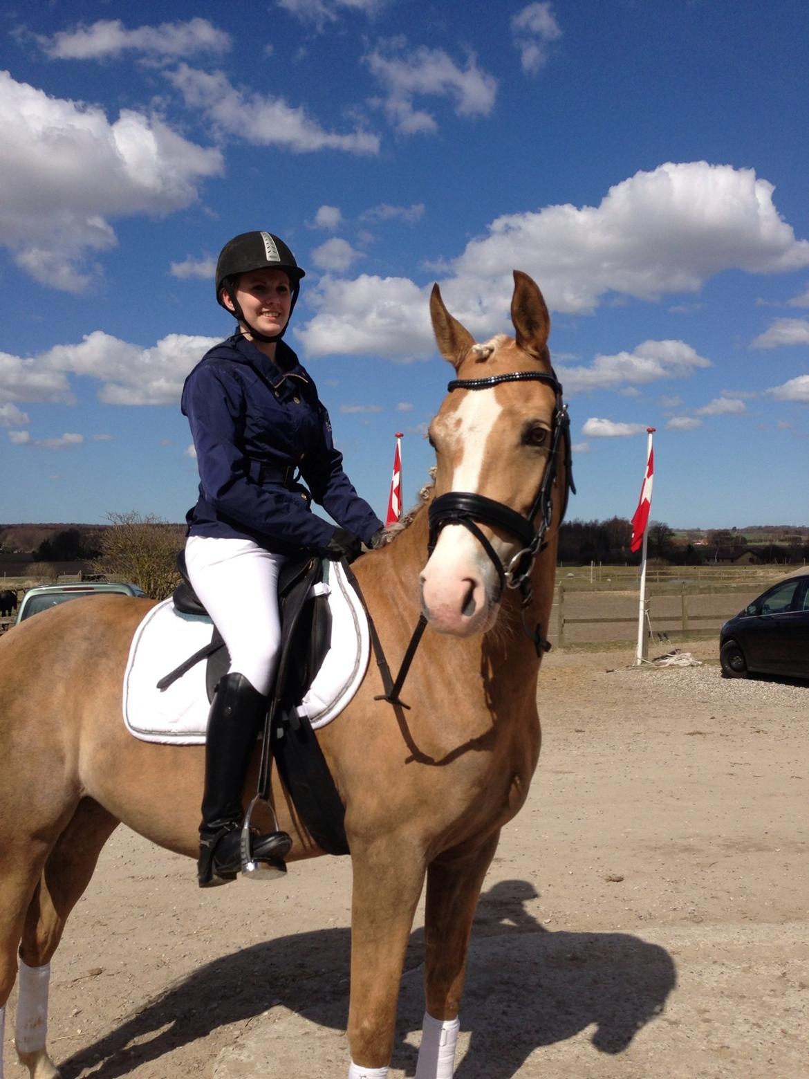 Palomino Diva billede 16