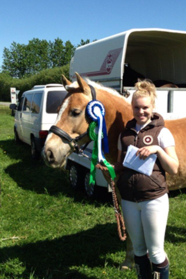 Haflinger Alvaro - SOLGT - 2 rosetter ud af 2 klasser, til aller første stævne.
Dygtige lille Laffe <3 billede 11