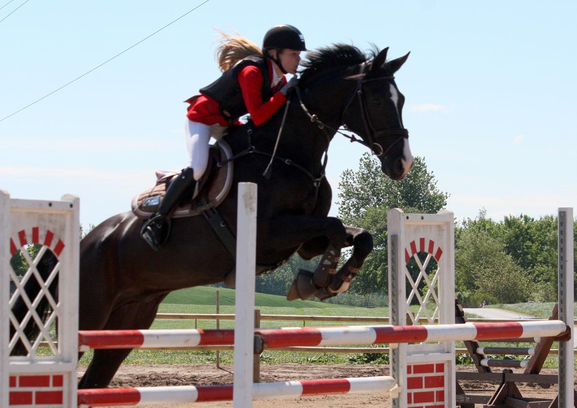 Hannoveraner Amando 29 - LA2** Boller rideklub d. 26. maj 2013 ~ første 120 klasse billede 15