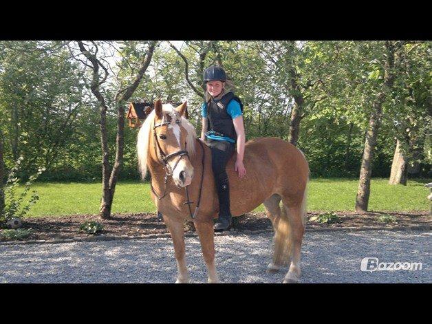 Haflinger missy <3 - Missy og jeg på skov tur! :) billede 7