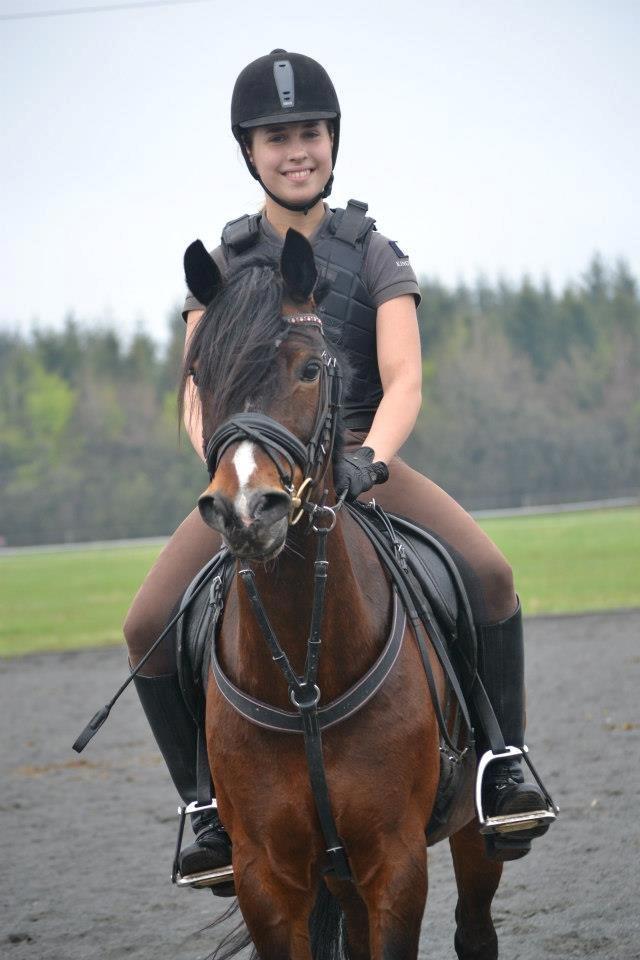 Hollandsk Sportspony Isabella Af Mindet - En sød Belli, efter spring undervisning :-) billede 18