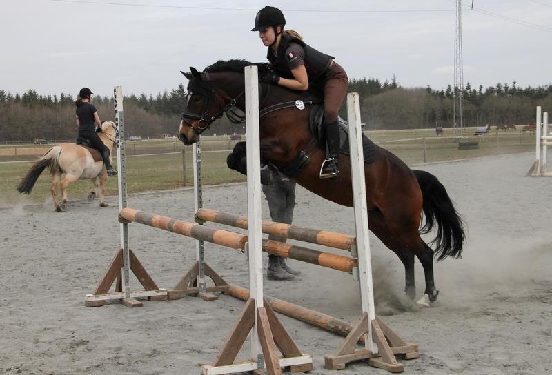 Hollandsk Sportspony Isabella Af Mindet - Min seje ponymus <3 billede 19