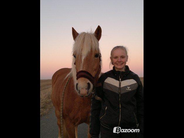 Haflinger missy <3 - Missy og jeg gå en lille tur ren hygge! <3 billede 12