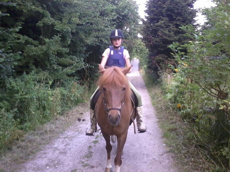 Islænder Osk billede 7