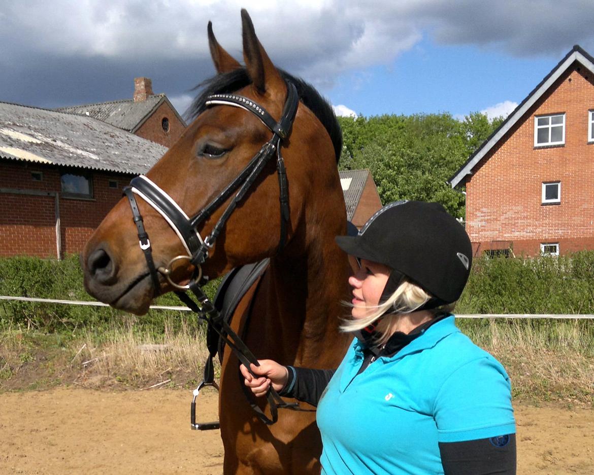 Anden særlig race Sibiriens Chestar billede 4