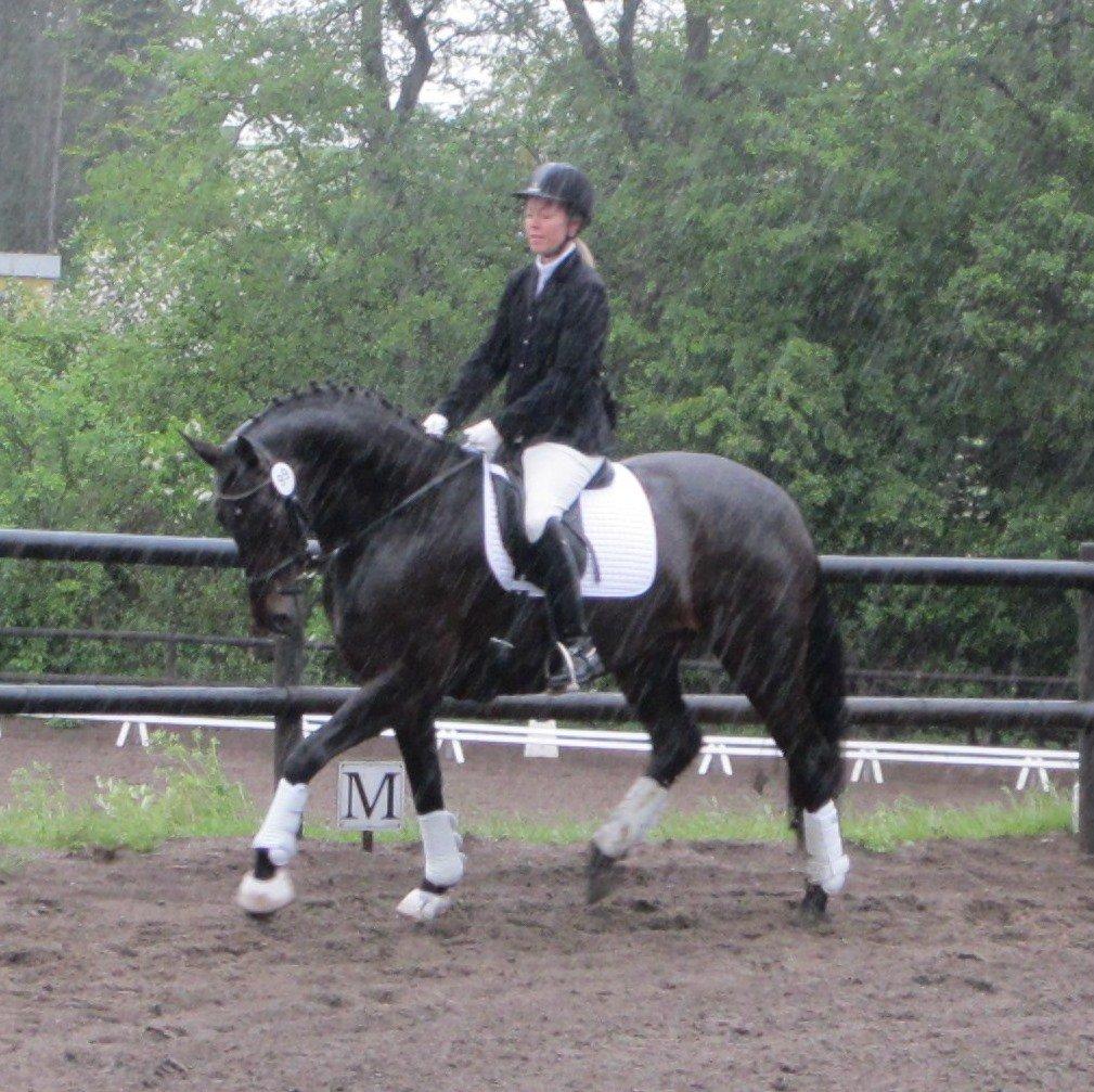 Dansk Varmblod Feodora Khan - Feodora til sit livs første stævne. Gik LD2 til 65,28 % og fik en første plads :-) billede 17