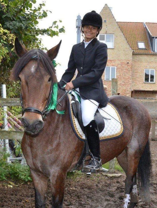 Connemara Jester - Sløjfedressur ;) billede 4
