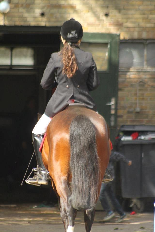 Irsk Sportspony Carlton Beyonce - Når enden er god er alting godt <3! billede 7