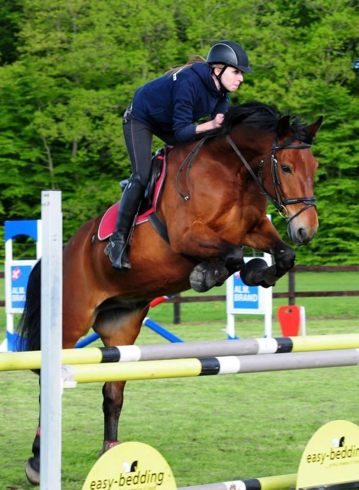 Anden særlig race Jack Bauer - SK-Foto billede 8