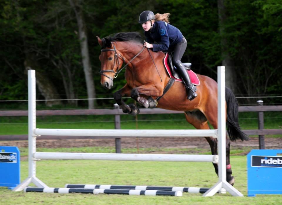 Anden særlig race Jack Bauer - SK-Foto 
Overskud? billede 3