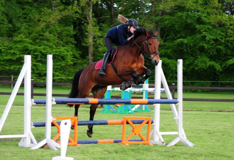 Anden særlig race Jack Bauer - SK-Foto!
Dejlige hest, til undervisning!<3 billede 2
