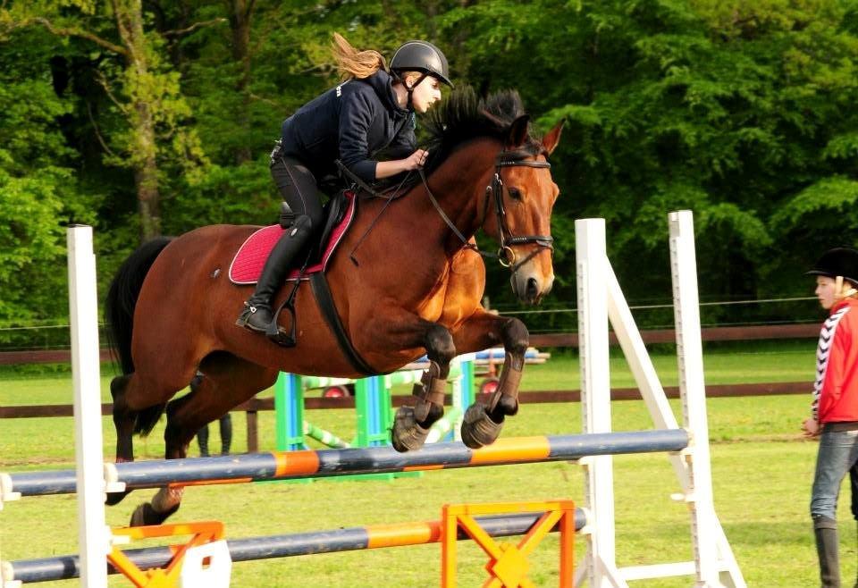 Anden særlig race Jack Bauer - SK-Foto billede 10