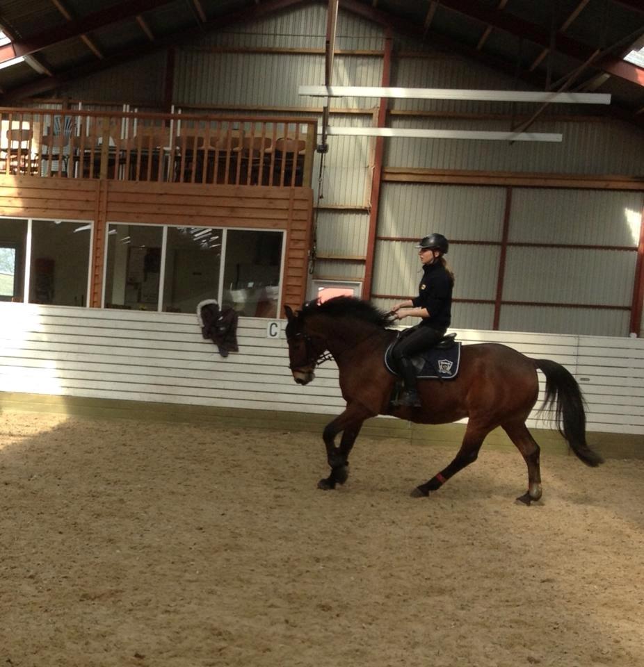 Anden særlig race Jack Bauer billede 6