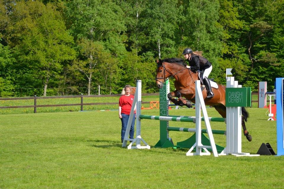 Anden særlig race Jack Bauer - Stævne d. 26 maj 2013 :D<3 billede 13