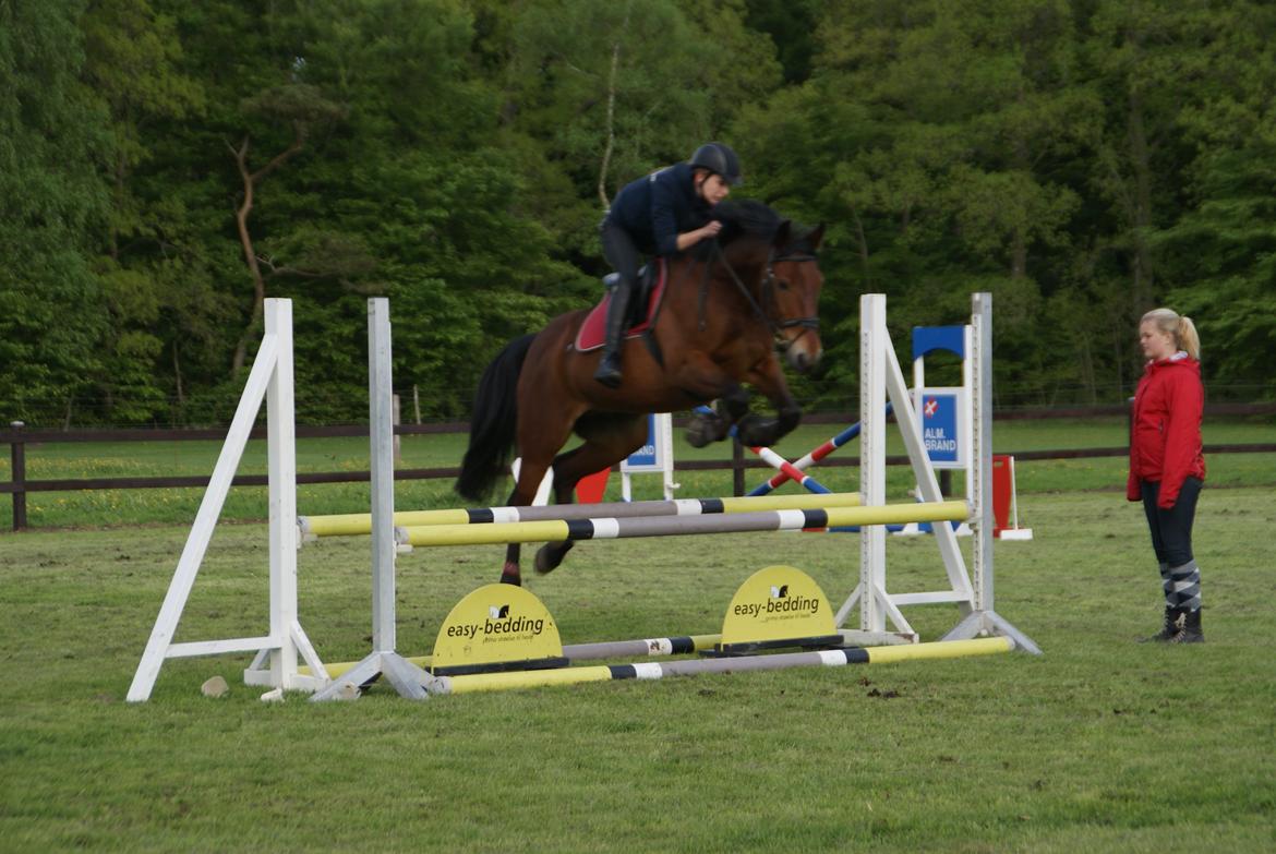 Anden særlig race Jack Bauer - Undervisning! :-D billede 16