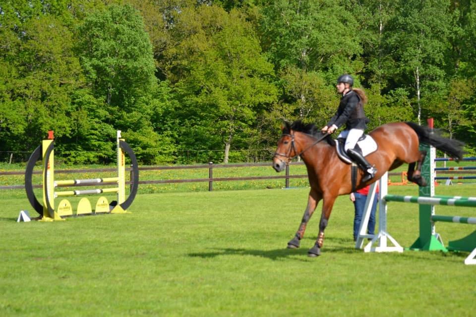 Anden særlig race Jack Bauer - Okay bagben? ;-D billede 17