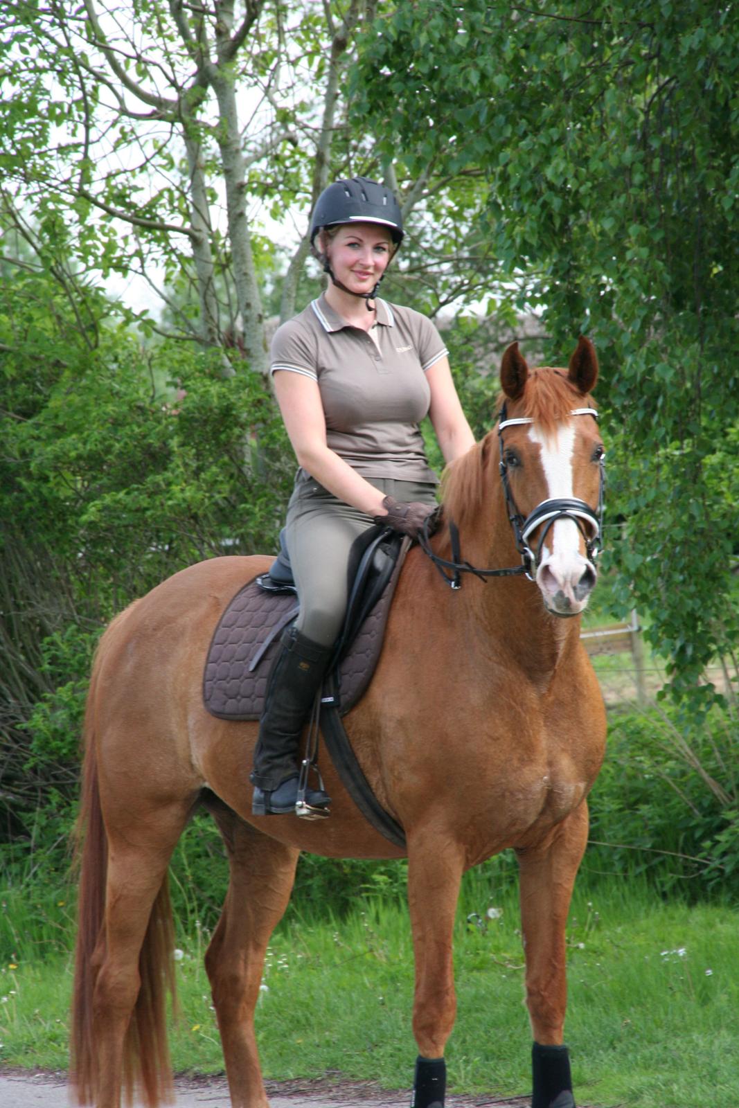 Dansk Varmblod Meklenborgs Vera - Den mest fantastiske hest i verden - jeg elsker dig min pige!! billede 1