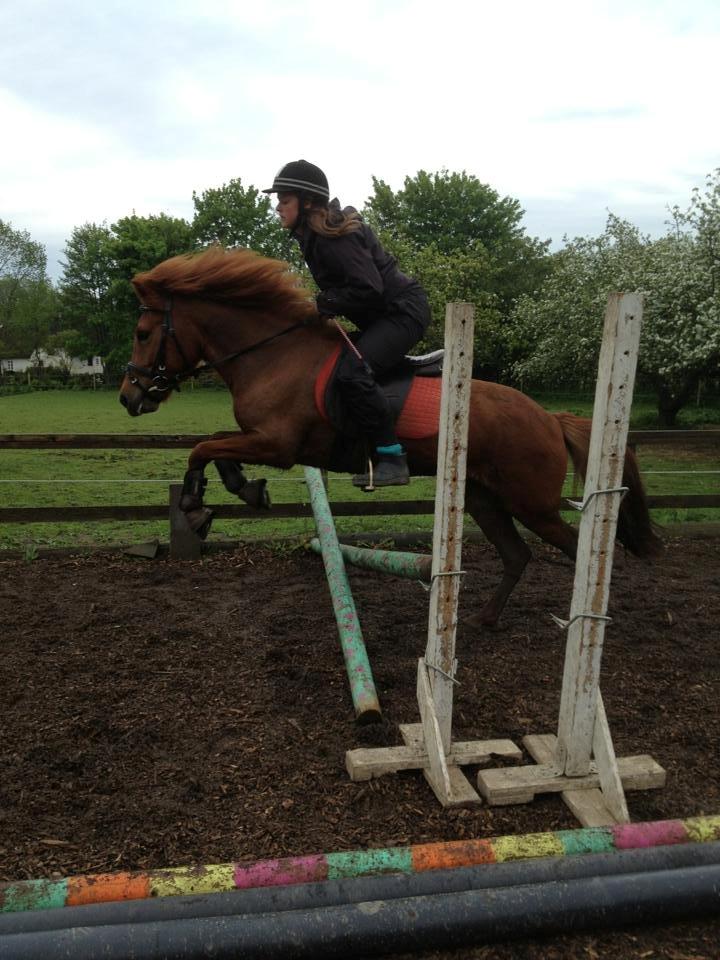 Islænder stjarna<3 billede 7