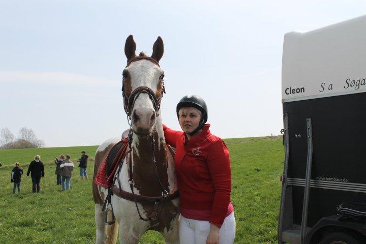 Pinto Nikolaj af Dutterup - Jagt i mols bjrege ! :D billede 12