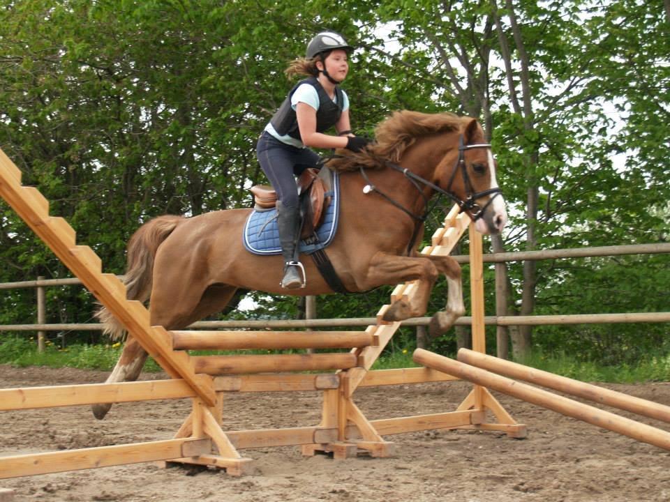 Tysk Sportspony Sultan(Sulle) <3 - Sulle og jeg, på naturspring på 70cm <3
Taget af Nanna Christiansen <3 billede 8
