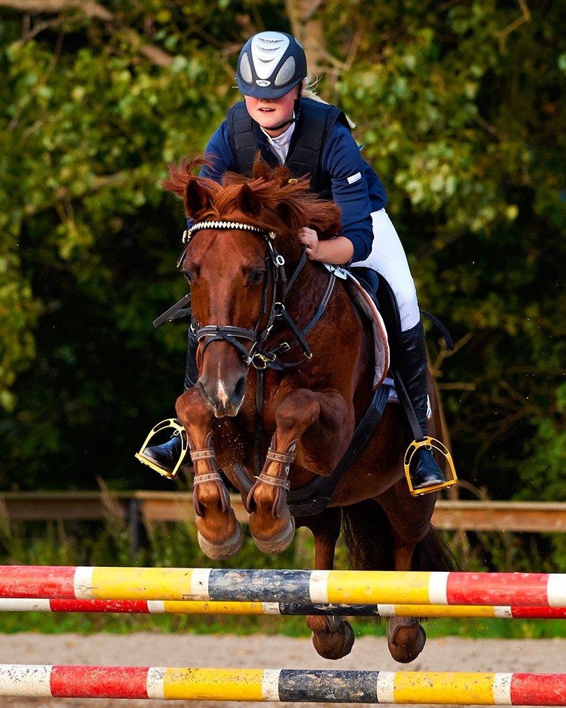 DSP Flying Rex - 16) Sjællandsmesterskaberne på Barthahus Ridecenter, MB**, September 2011. FOTO: Animal-print.dk billede 16