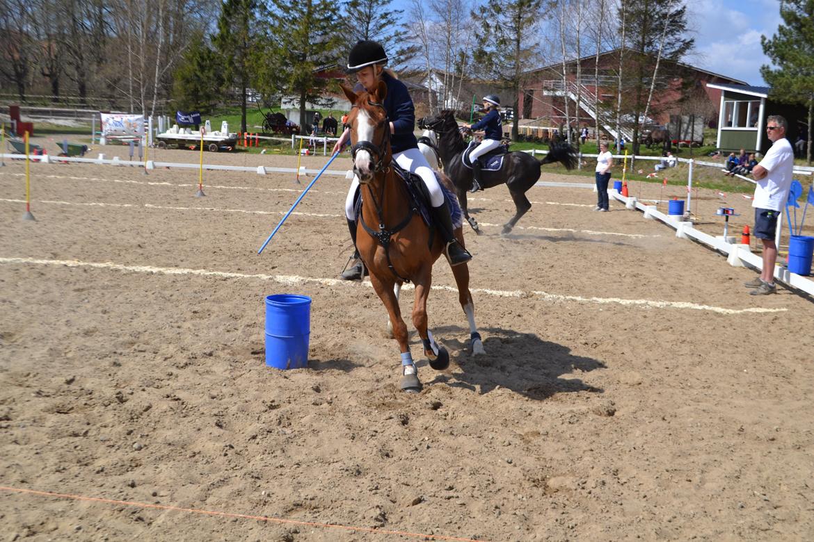 DSP Fundi billede 16