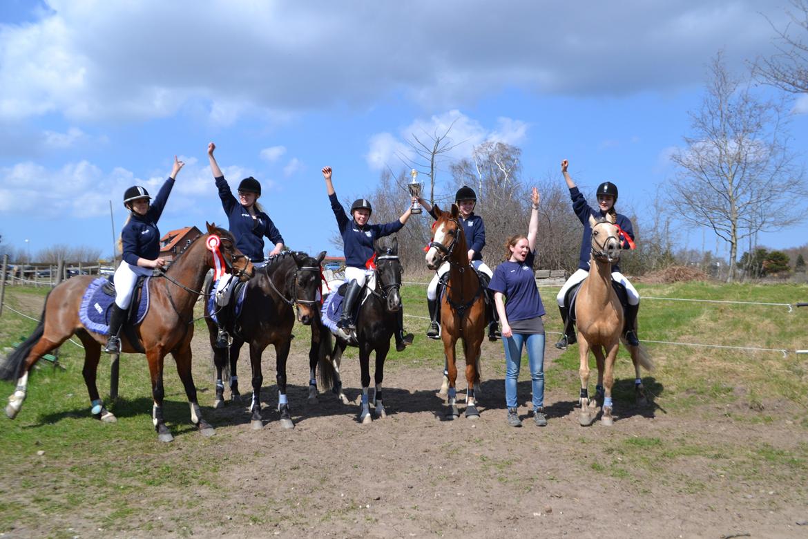 DSP Fundi billede 17