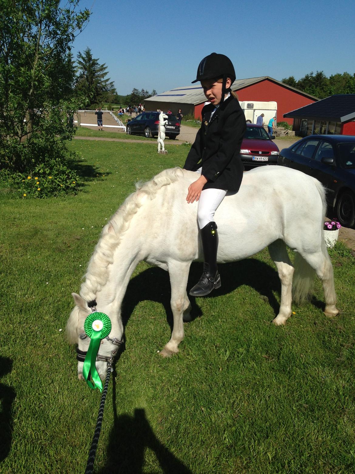 Welsh Pony (sec B) Speedy Gonzarles - Fra den 26. maj 2013 billede 18