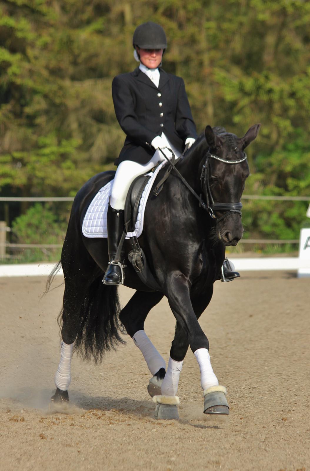 Oldenborg Atlas - Velkommen til Atlas profil :)
Fotograf. Sara Justenborg billede 1
