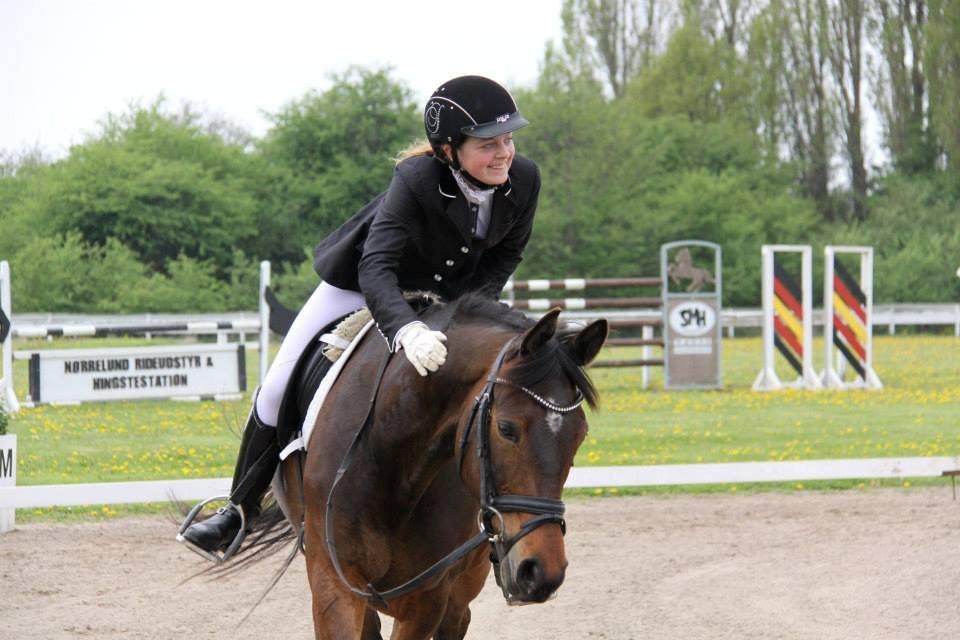 Trakehner Ikarus E billede 11