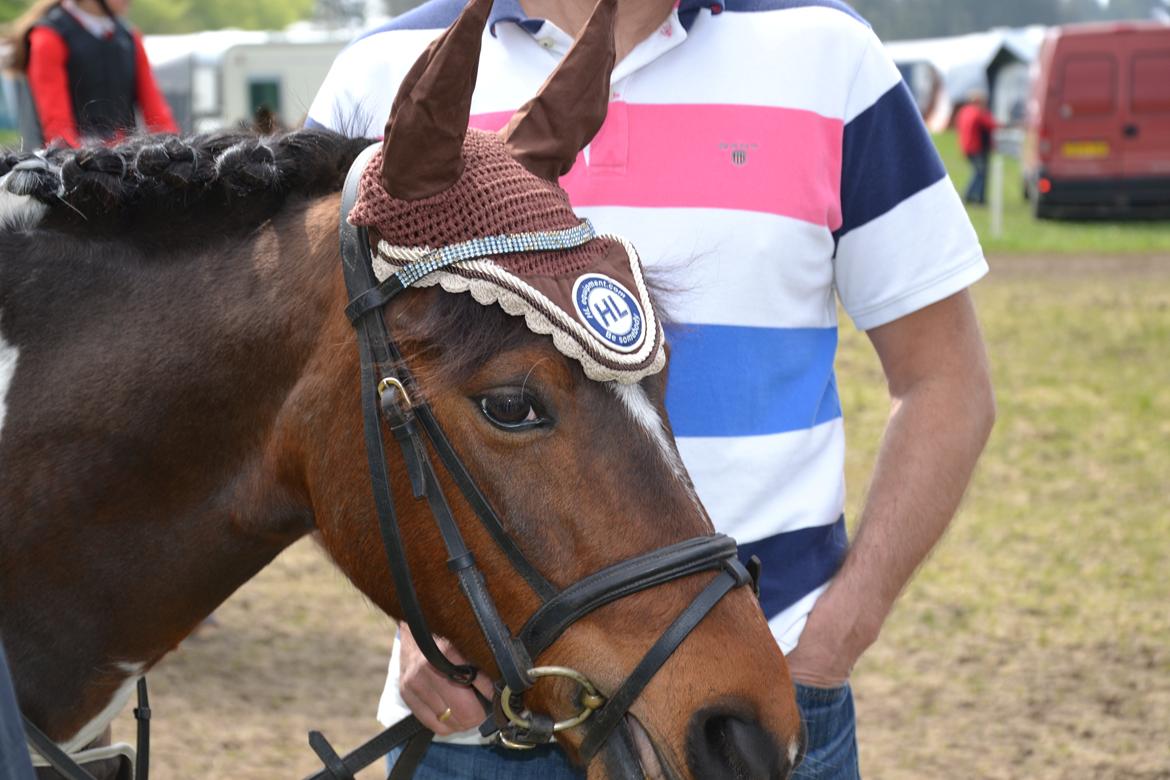 Anden særlig race Hopla billede 1