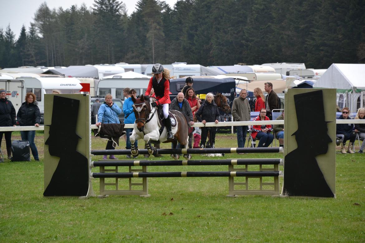 Anden særlig race Hopla billede 2
