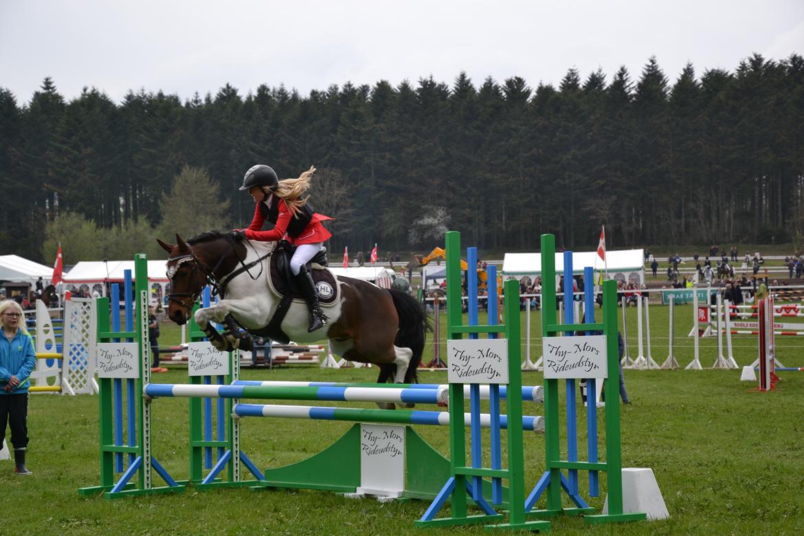 Anden særlig race Hopla billede 10