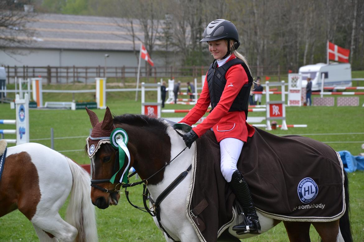 Anden særlig race Hopla billede 4