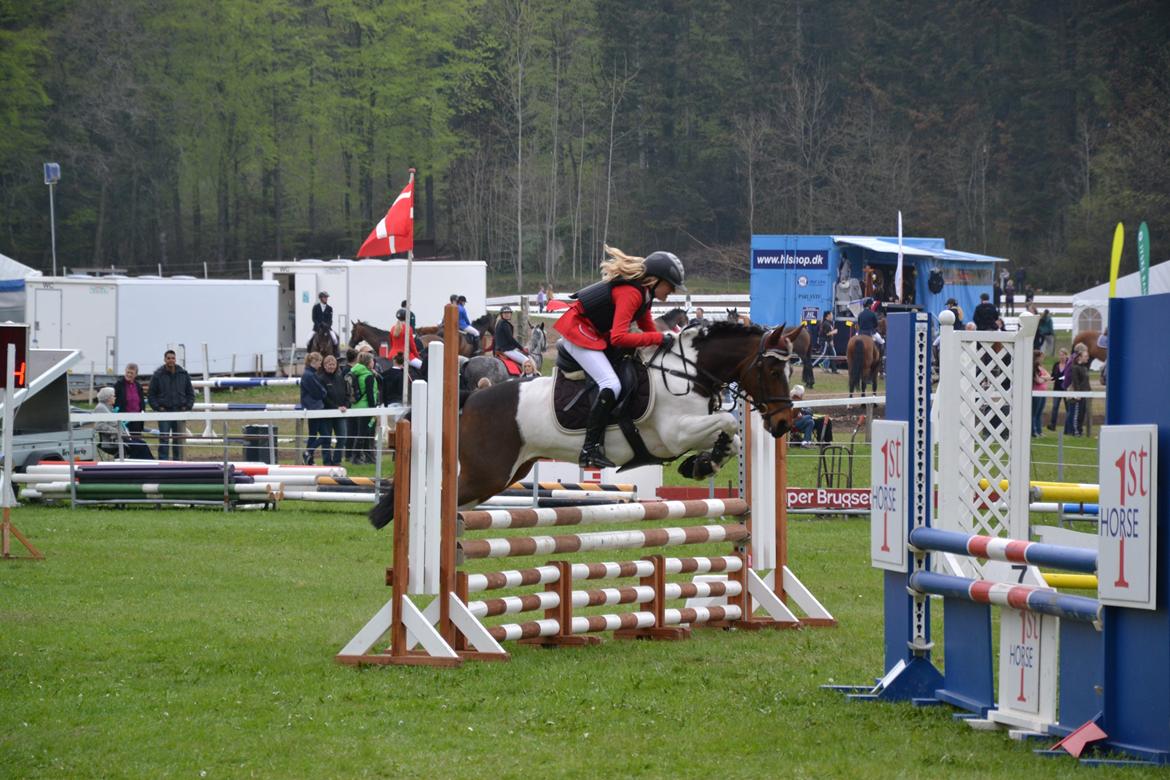 Anden særlig race Hopla billede 7