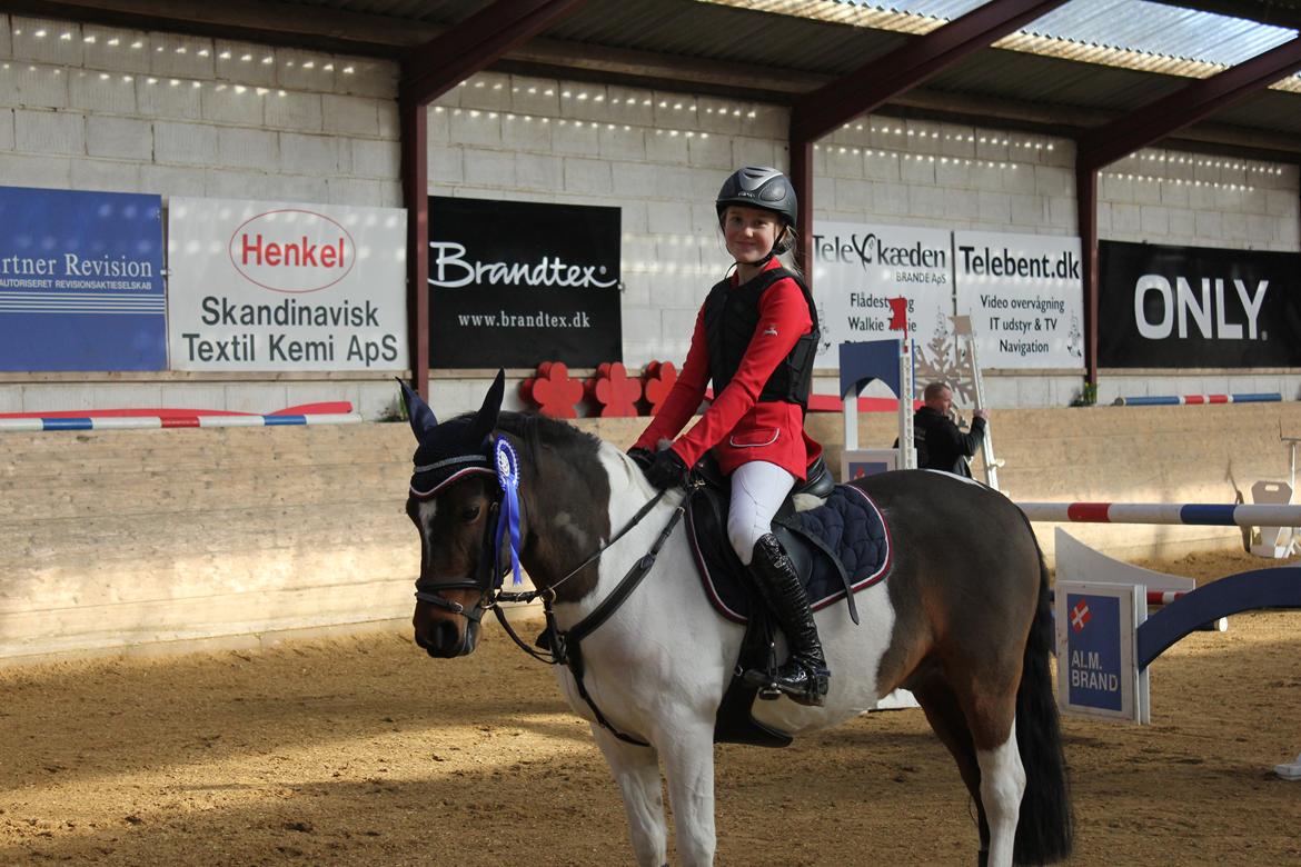 Anden særlig race Hopla billede 8